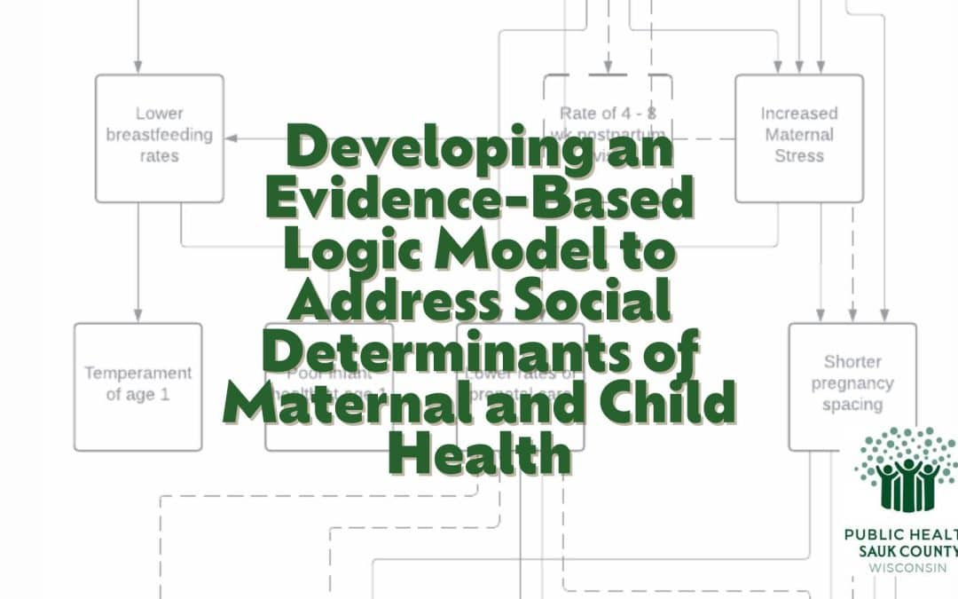 Developing a Maternal Child Health Metric for a Local Health Department