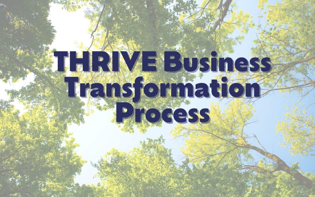 The 6-Part THRIVE Consulting Methodology