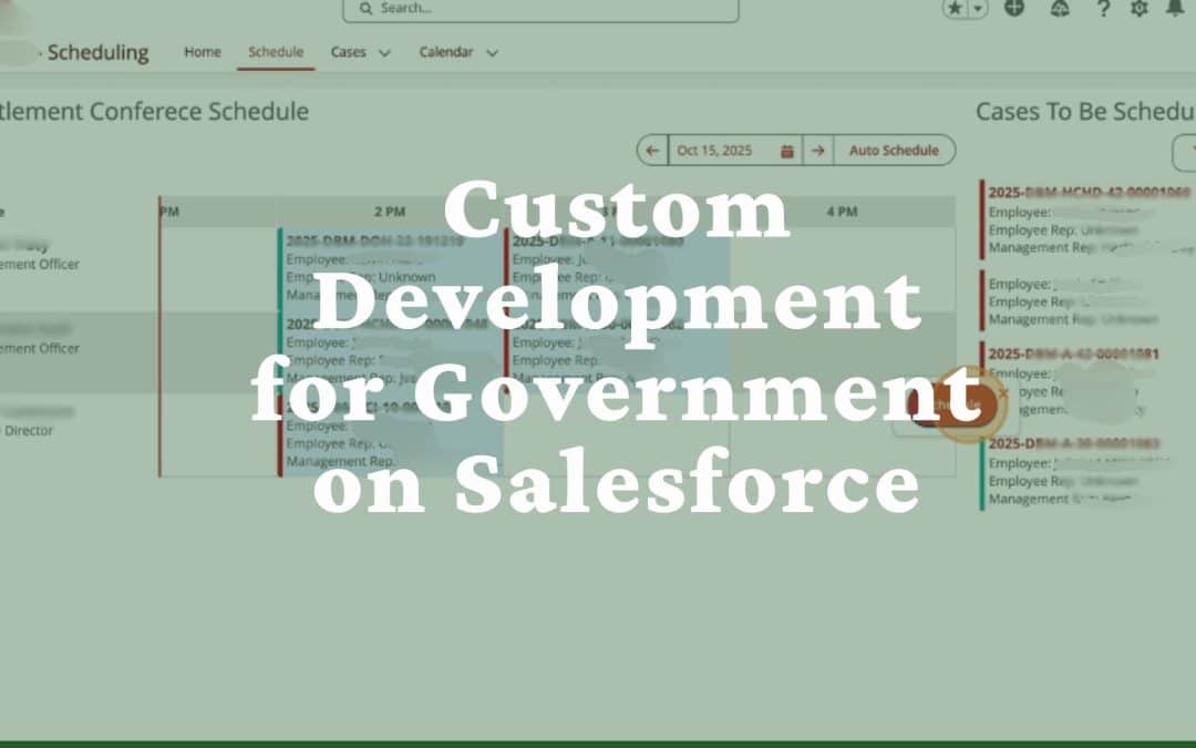 Custom Software Development on Salesforce For Government
