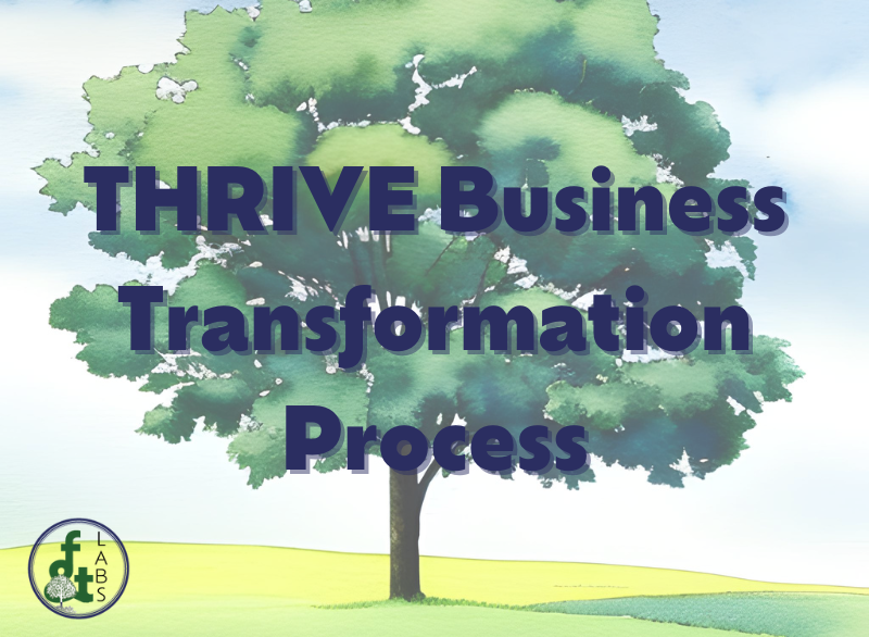 The 6-Part Process of the THRIVE Consulting Methodology