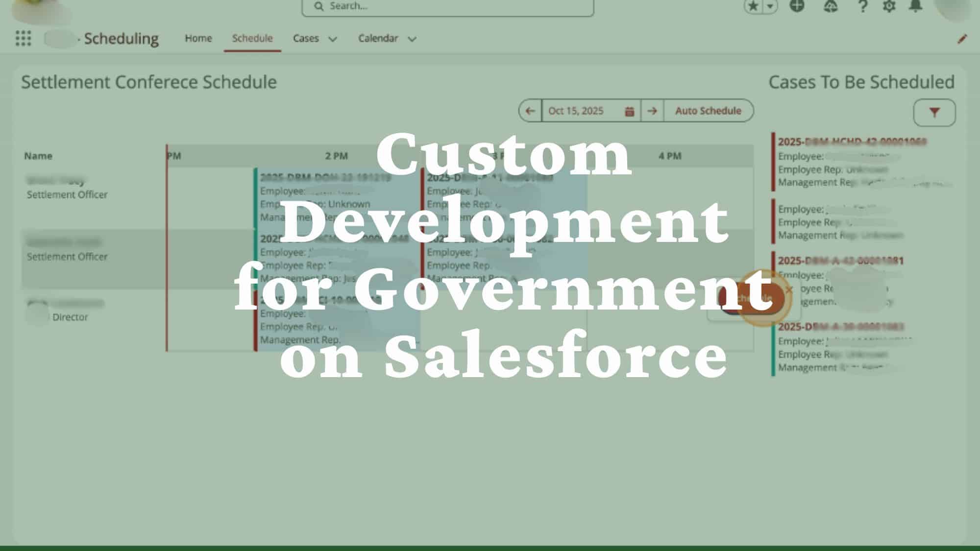 Custom Salesforce Development For Government